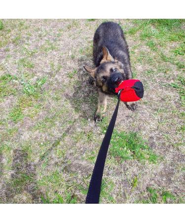 Dingo Gear Training Toys Ball 9 cm - Black-Red with 65 cm Handle | French Nylcott Apport IGP Obedience Training Game - Buy Online on GoSupps.com