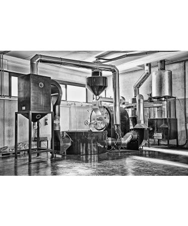 100 capsules MODO MIO - CAF VICERE' - D CAF IN - INTENSE - ARABIQUE (D CAF IN ) - Buy Online on GoSupps.com