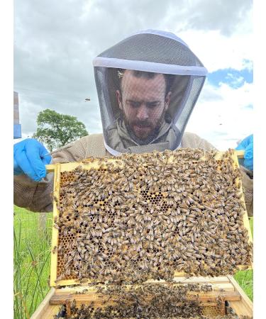 Gwenyn Gruffydd - British Blossom Honey 3kg Bulk Catering Tub - 100% Pure Natural Unpasteurized Raw Honey - Bulk Honey 3kg - Unheated - Gluten Free - Premium Honey from Non-Sugar Fed Bees UK - Buy Online on GoSupps.com