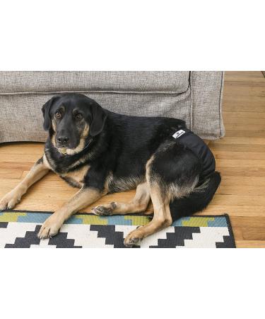 Washable Dog Diapers (3-Pack) for Male & Female Dogs - Premium, Durable & Reusable - Large Black - Buy Online on GoSupps.com