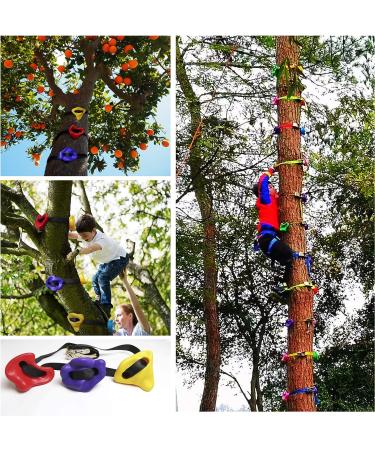SSBRIGHT Tree Climbers Set - 15 Kids' Outdoor Climbing Holds with 6 Ratchet Straps - Buy Online on GoSupps.com