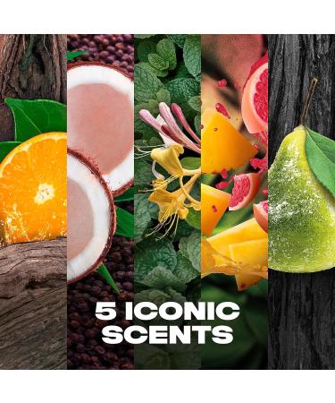 LYNX Fragrance Edition Gift Set 5x body spray perfect gifts for him 5 piece - Buy Online on GoSupps.com