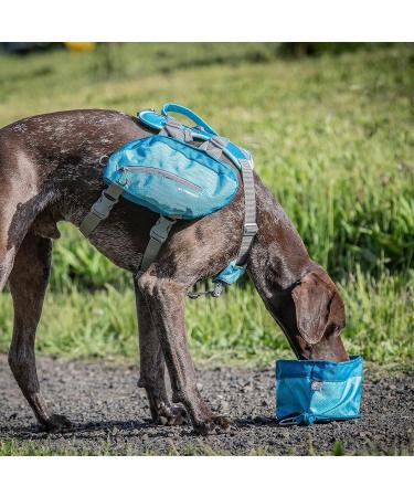 Buy Kurgo Collapsible Dog Food & Water Bowl - 1.4L Capacity Snap Hook Closure - Durable & Portable Blue Bowl for Travel | International Shipping Available - Buy Online on GoSupps.com