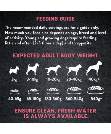 Harringtons Just 6 Salmon & Veg Complete Grain Free Dry Dog Food With Added Tasty Fresh Baked Bites 12kg Salmon 12 kg (Pack of 1) - Buy Online on GoSupps.com