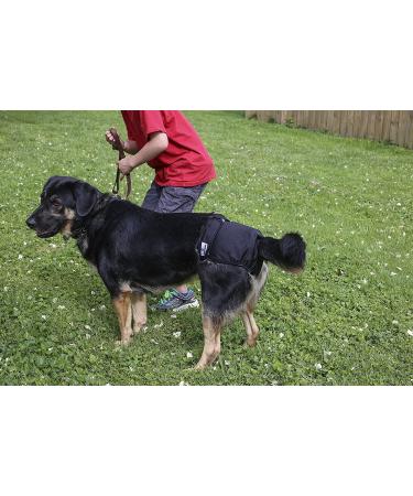 Washable Dog Diapers (3-Pack) for Male & Female Dogs - Premium, Durable & Reusable - Large Black - Buy Online on GoSupps.com