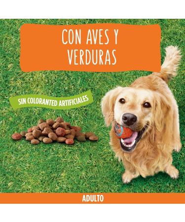 Purina Friskies - Adult Dog Food (poultry and vegetables added) - Buy Online on GoSupps.com