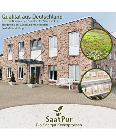 SaatPur Organic sprouts black mustard microgreens 30 g - Buy Online on GoSupps.com