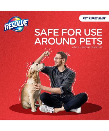 Resolve Pet Specialist Easy Clean Brushing Kit with Heavy Traffic Foam Carpet Cleaner 22oz - Buy Online on GoSupps.com