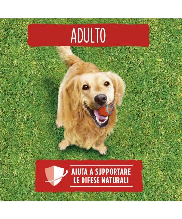 Purina Friskies Adult Dog Food with Beef Cereals and Vegetables 12 kg - Buy Online on GoSupps.com