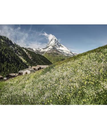 Ricola Schweizer Kr utertee 200 g - Authentic Swiss Herbal Tea | Shop Internationally - Buy Online on GoSupps.com