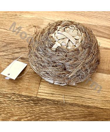 Canary Nest Pans 5 PACK 11cm Wicker - Coco with hooks to rear for Canaries - Buy Online on GoSupps.com