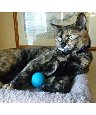 Earthtone Solutions Merino Wool Felt Ball Toys for Cats - Handmade in Nepal | Colorful and Soft Fabric Balls for Fun and Quiet Play | Unique Gift for Cat Lovers - Buy Online on GoSupps.com