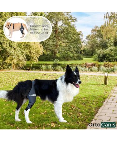 Ortocanis Kniebandage f r Hunde - Links Gr e S | Bandage f r Kreuzbandverletzungen Patella-Luxation & Osteoarthritis - Buy Online on GoSupps.com