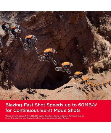 SanDisk 32GB Extreme SDHC UHS-I Memory Card - C10 U3 V30 - 4K UHD - SDSDXVT-032G-GNCIN - Buy Online on GoSupps.com