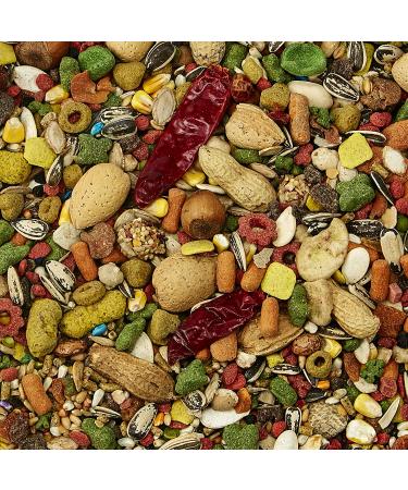 Kaytee Fiesta Parrot Food | Nutritious & Delicious Bird Diet - Buy Online on GoSupps.com