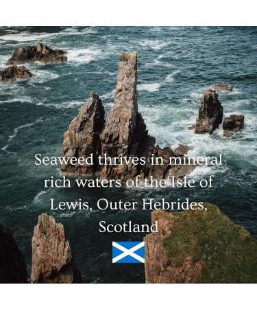 Ishga Marine Cleansing Balm - Natural Organic Skincare with Scottish Seaweed & Bergamot | Vegan Cruelty-Free | 3.38fl oz (100ml - Buy Online on GoSupps.com