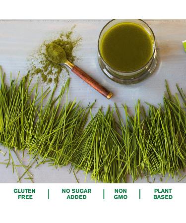 Organic Amazing Grass Trio: Barley, Wheat & Alfalfa Powder â€“ 8.5 oz (240g) for Optimal Nutrition - Buy Online on GoSupps.com