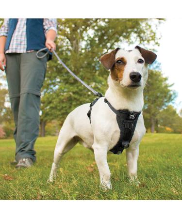 Kurgo Tru-Fit Smart Dog Harness - Padded Chest Panel D-Ring & Car Seat Belt - Size L Black - International Shipping Available - Buy Online on GoSupps.com