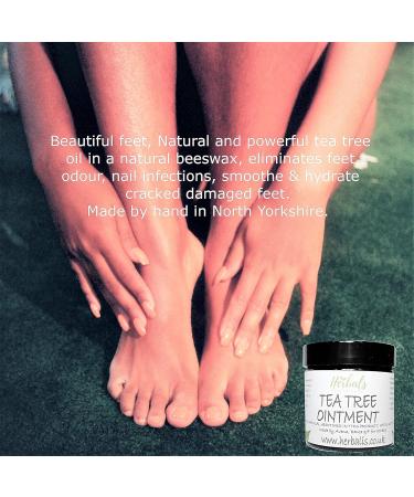 Natural Healing Tea Tree Ointment 60ml - Nail Infections, Athlete's Foot, Odor Relief - Buy Online on GoSupps.com