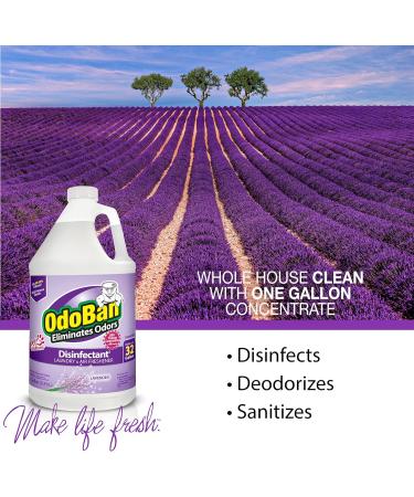 OdoBan Disinfectant & Odor Eliminator Set - 2x32oz Spray & 1 Gallon Concentrate Lavender Scent - International Shipping Available - Buy Online on GoSupps.com