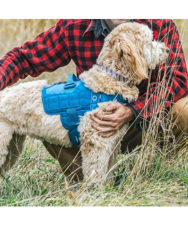 Kurgo RSG Townie Dog Harness - Easy On/Off Adjustable Chest & Belly Straps Size L Black - Perfect for International Shipping - Buy Online on GoSupps.com