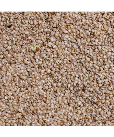 Bean Products Organic Millet Hulls | 100% Organically Grown in The USA | Great for Filling Pillows, Yoga Bolsters, Cushions & More | Chemical Free and Hypoallergenic | 1lbs A - 1 LB