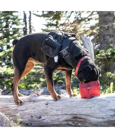 Kurgo Collapsible Dog Bowl - 1.4L Red with Snap Hook & Closure | Perfect for Travel & Outdoor Adventures - Buy Online on GoSupps.com