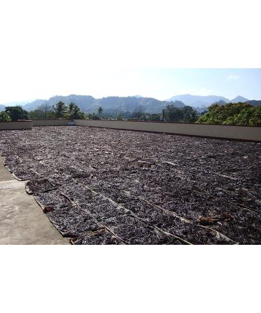 25 Tahitian Extract Grade B Vanilla Beans by Vanilla Products USA - 25 Count - Buy Online on GoSupps.com