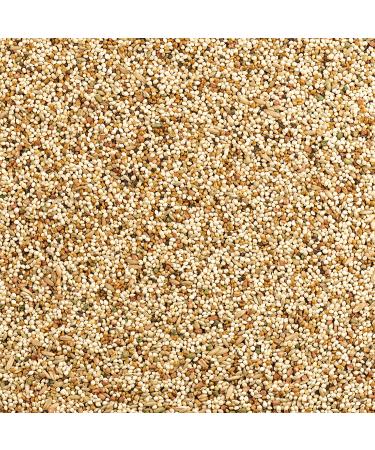 Wild Harvest Daily Blend Nutrition Diet for Parakeet, Canary, and Finch - 10 lb - Buy Online on GoSupps.com