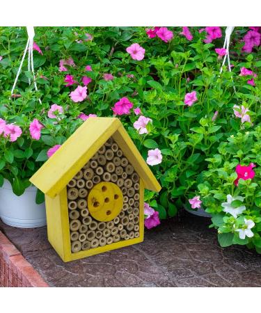 Eco-Friendly Bee House Hotel - Insect Nest Box for Gardens and Yards - Buy Online on GoSupps.com