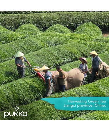  Pukka Herbs Herbal Tea Selection Box | Organic Gift | Eco-Friendly Tea Collection | Sharing Selection | 45 Sachets | 9 Flavours - Buy Online on GoSupps.com