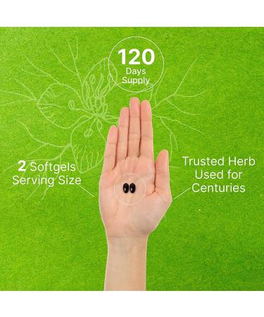 Black Seed Oil 1000mg - 240 Softgels | Cold-Pressed Nigella Sativa | 4 Months Supply | Natural Thymoquinone | Non-GMO | Gluten-Free - Buy Online on GoSupps.com