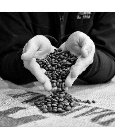 Coffee World | Ethiopia Yirgacheffe Single Origin UK Roasted Whole Coffee Beans - Perfect Brewing for Caf s Businesses Shops & Home Users (Coffee Beans 250g) - Buy Online on GoSupps.com