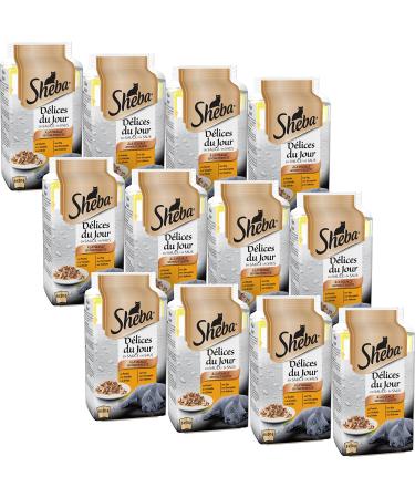 Sheba d lices du jour - wet food for adult cats - poultry selection in sauce - fresh bag 12 x (6 x 50 g) Poultry selection in sauce.50 g (72 pack)