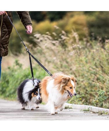 Sweetie Dual Shock Absorbing Bungee Dog Lead Splitter - Ideal for Walking 2 Small to Medium Dogs - Reflective Stitching, No Tangle Design - Buy Online on GoSupps.com