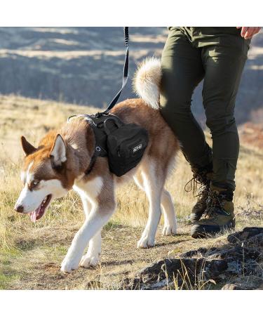 KURGO RSG TOWNIE Dog Harness - Adjustable XS Easy to Put On Lightweight & Secure - Black - Buy Online on GoSupps.com