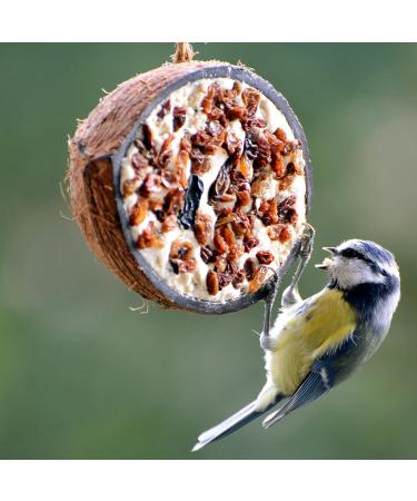 DoBar 10x Coconut Bird Feed - 5 Varieties for All-Year Feeding - 2kg Wild Bird Food in Half Coconut Shells - Buy Online on GoSupps.com