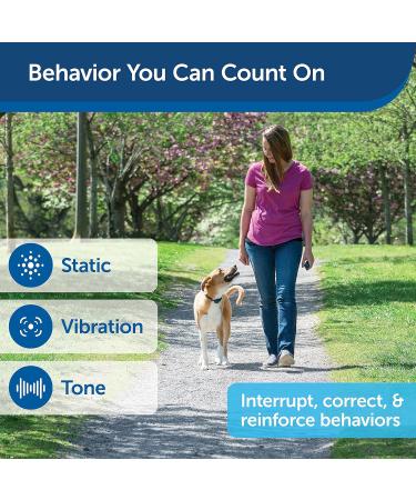 PetSafe 300 Meter Remote Trainer Standard 300 Meter - Buy Online on GoSupps.com