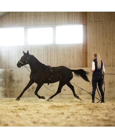 Horze Nylon Lunging Cavesson - Black Cob - Adjustable Training Headcollar - Buy Online on GoSupps.com