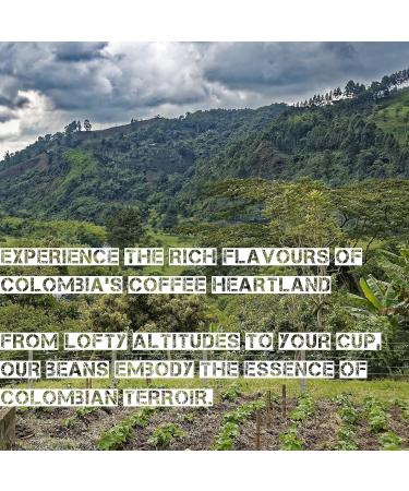 Stasis Specialty Coffee Colombian Arabica Coffee Beans 1 x 500g freshly roasted - rich and full-bodied medium roast captivating South American flavours - Buy Online on GoSupps.com