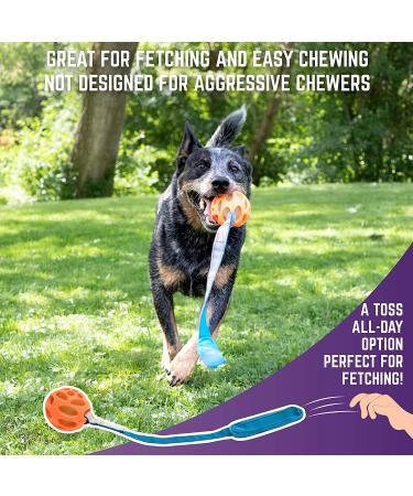 Chew King Fetch Balls: Durable Natural Floating Dog Toy with Squeaker Ball - 4.5 - Buy Online on GoSupps.com