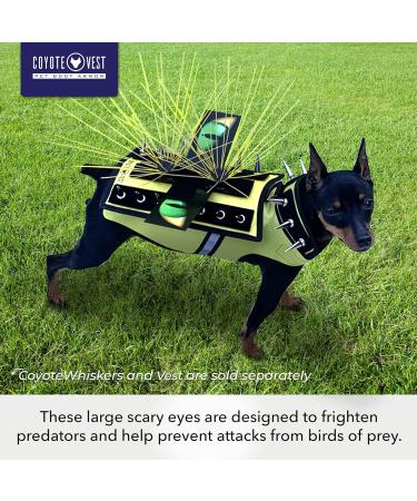 Coyotevest Waterproof Flexible Hawk Eyes for Dog Protection | Light Weight Plastic Sheet with Double Sided Velcro | Help Prevent Attacks from Birds of Prey - Buy Online on GoSupps.com