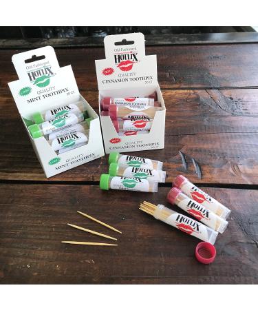 Buy Hotlix Mint Flavored Dental ToothPix - 16 Sticks | International Shipping Available - Buy Online on GoSupps.com