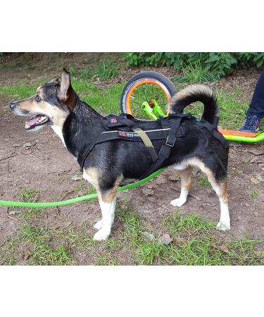 Buy Dog Copenhagen Non-Stop Canicross Harness - Free Motion Size T10 - Black | International Shipping Available - Buy Online on GoSupps.com