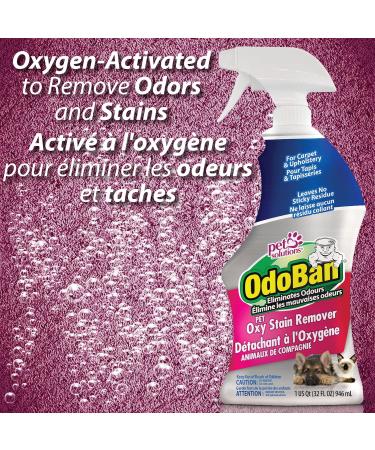 OdoBan Pet Oxy Stain Remover and Odor Eliminator for Carpet & Fabric Fragrance Free 32 oz. (946 mL) Spray  - Buy Online on GoSupps.com