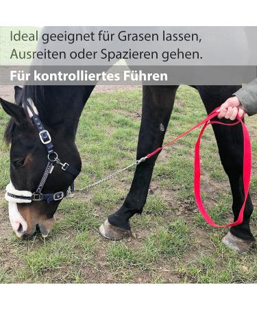 Guide for Horses - Safe Leading with Iron Chain & Nylon Handle | 2.10m Length for Stallions Dogs Ponies & Donkeys - Red - Buy Online on GoSupps.com