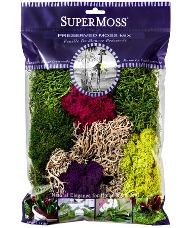 Super Moss Mood Moss Preserved Natural Green 1200cuin, Fresh Green