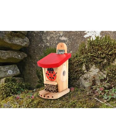 Wildlife World LBT4 Live Ladybird Lodge in Red/Brown - Natural Pest Control Solution - Buy Online on GoSupps.com