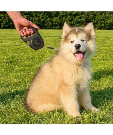 Buy Ferplast Flippy One Dog Leash - 4m Extendable Roller Leash for Small Dogs up to 15kg | Durable & Easy Locking System | International Shipping Available - Buy Online on GoSupps.com