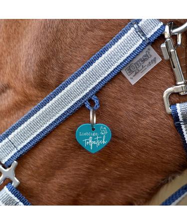 Soulhorse Pendant - Lucky Horse & Pony Talisman for Animals & Humans | Turquoise Heart Bridle Design - Buy Online on GoSupps.com